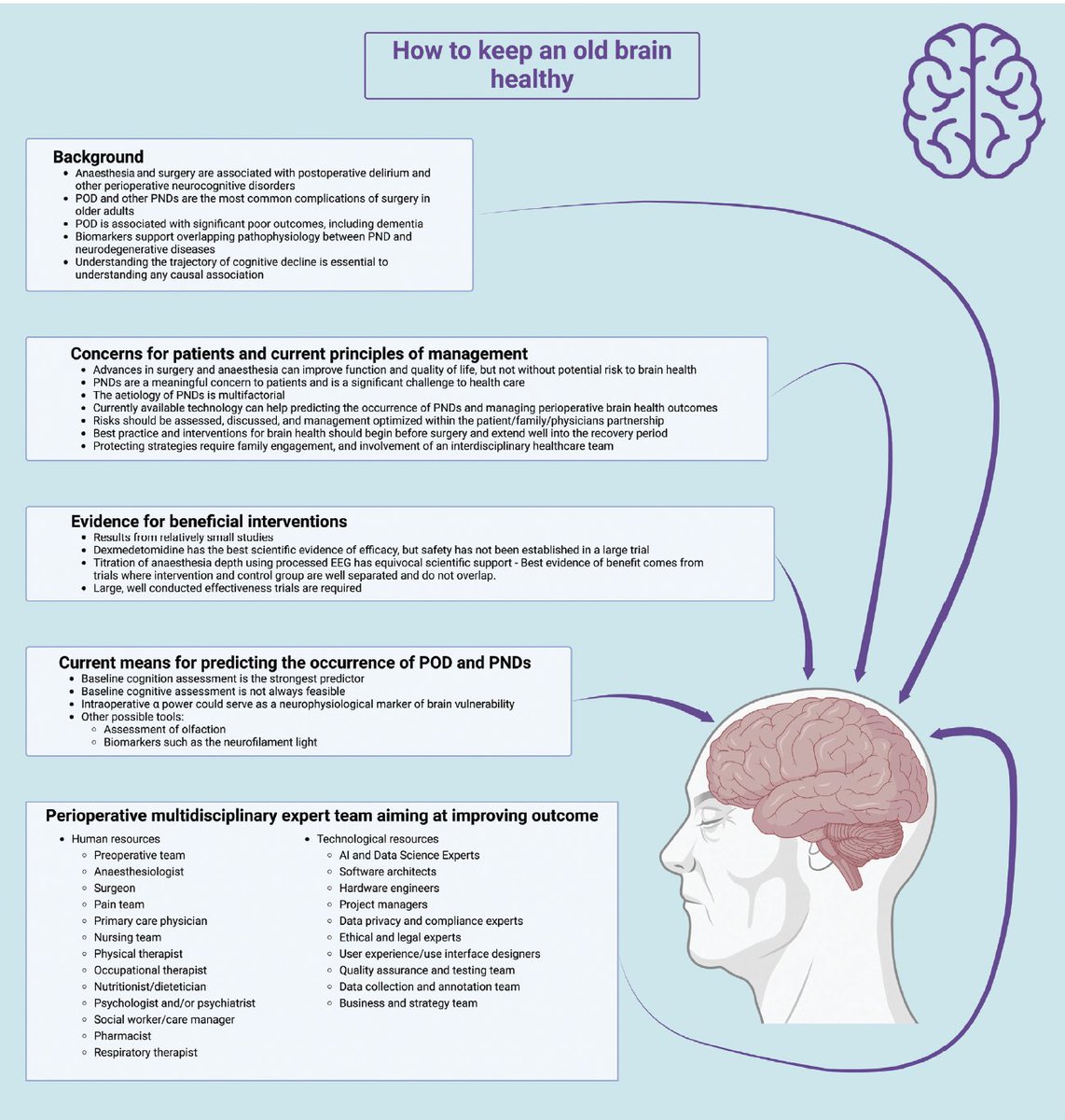 Francisco Lobo 🇵🇹🇨🇿🇪🇸🇺🇸🇳🇱🇮🇹 tweet media