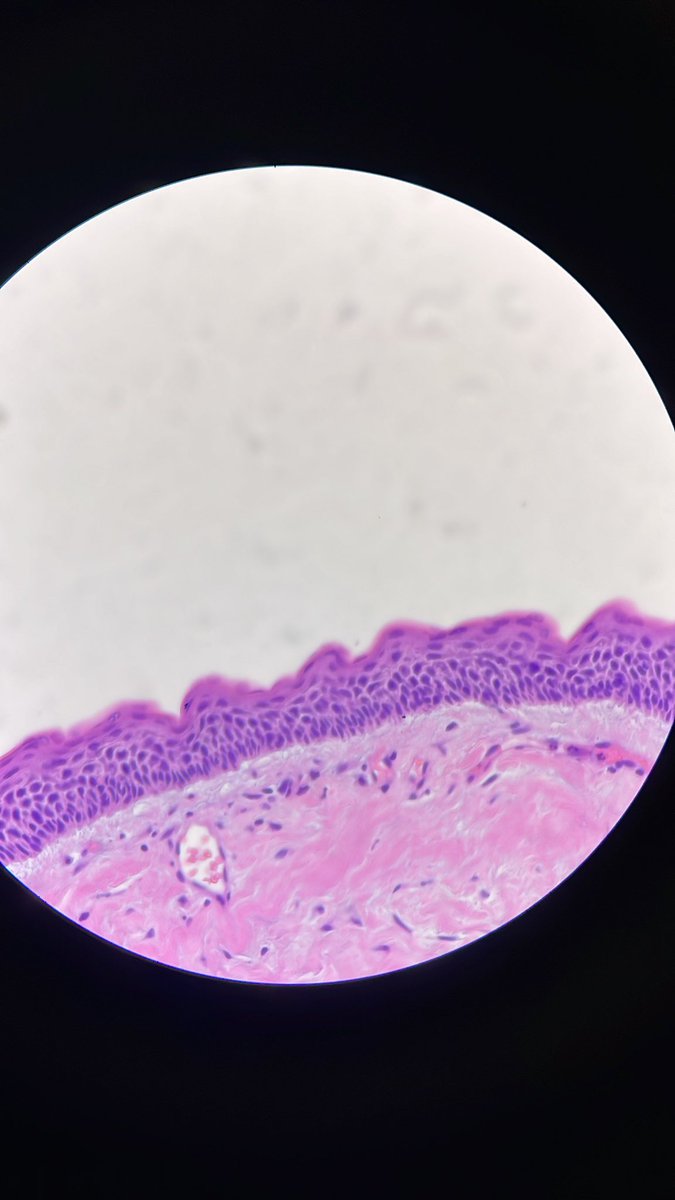 عبدالله tweet media