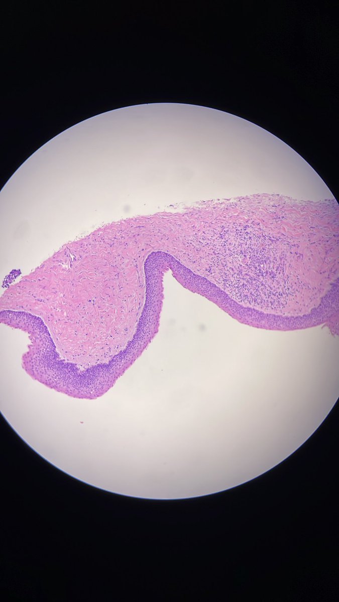 عبدالله tweet media