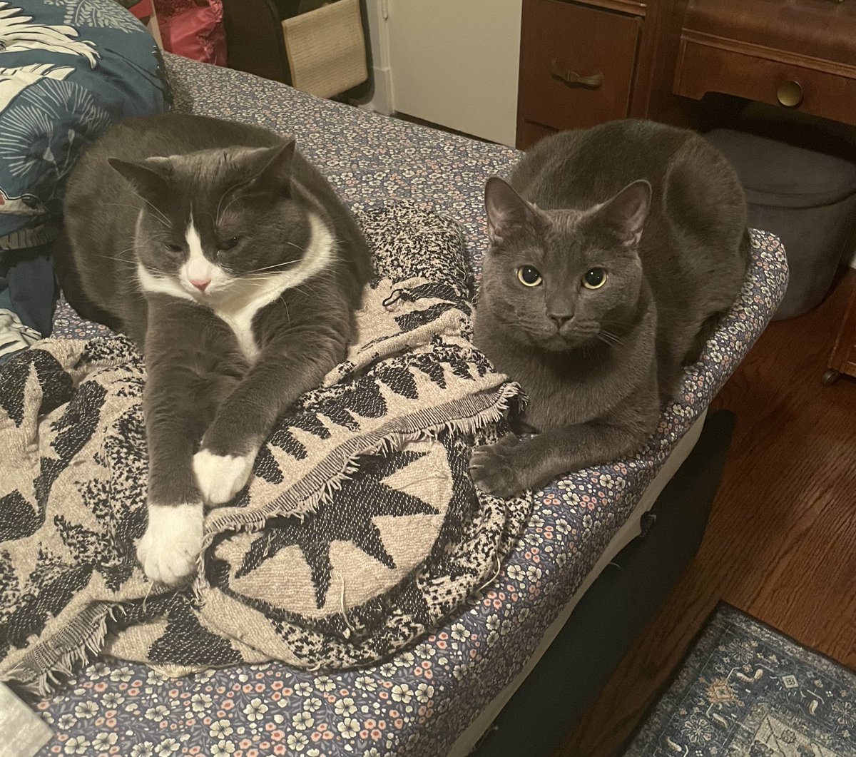 terra loire tweet media