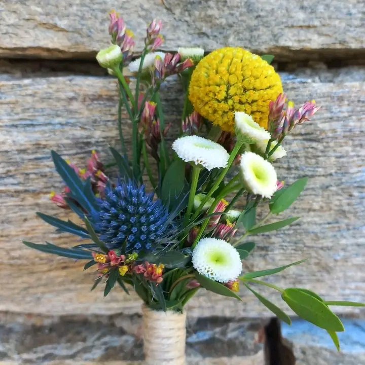 #NouvellePhotoDeProfil