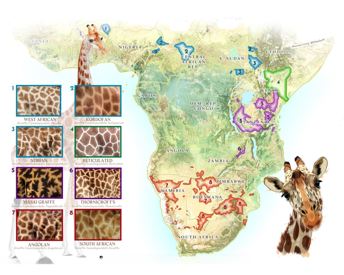 Wanmei L 🌎🛰️ tweet media
