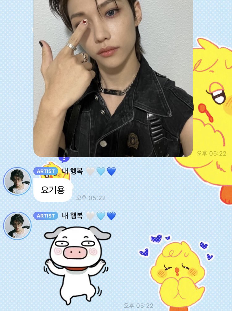 원본 투본 쓰리본 요기용