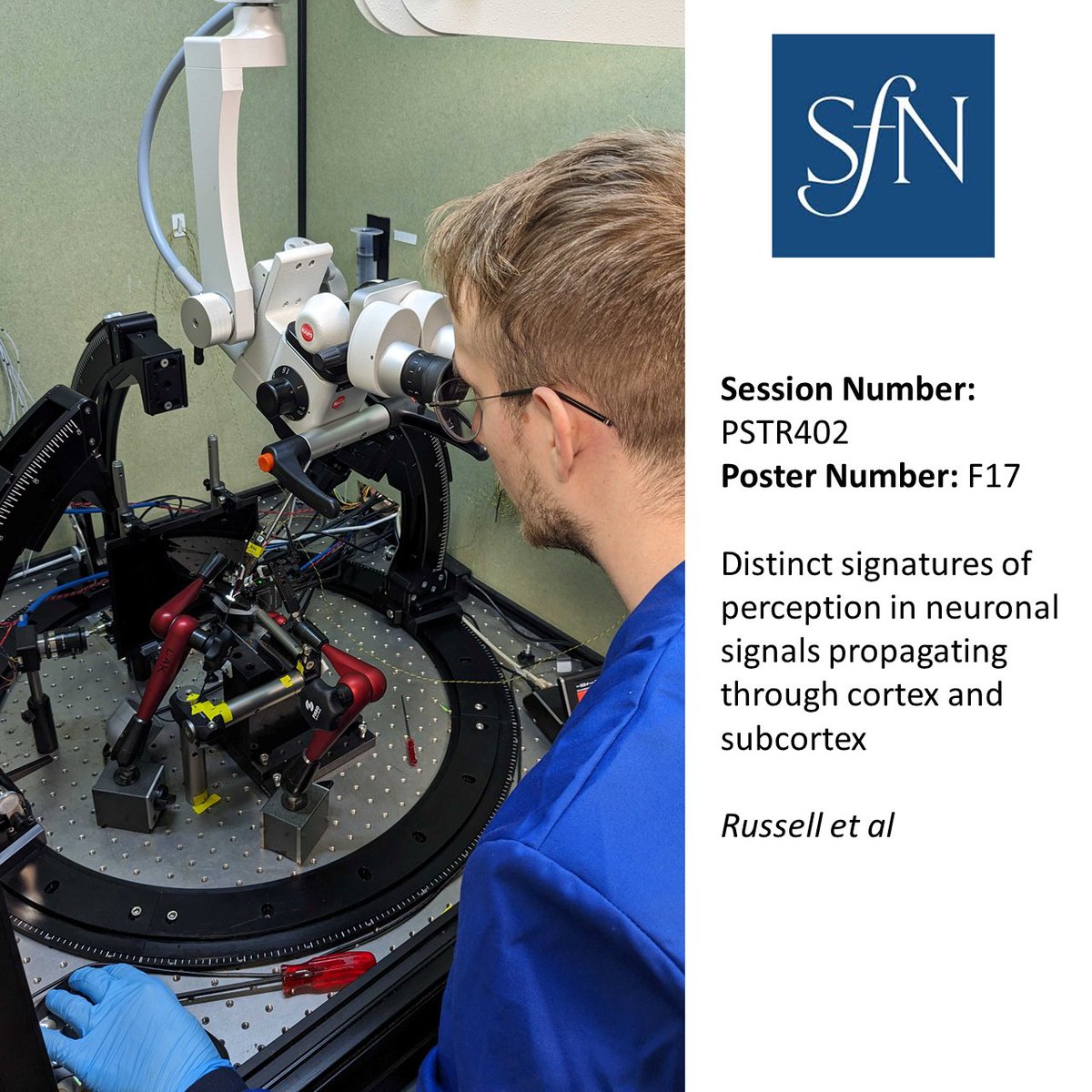 Blake Russell (@neurorussell) on Twitter photo If you are at <a href="/SfNtweets/">Society for Neuroscience (SfN)</a>, check out my poster tomorrow AM on my PhD work so far with the brilliant <a href="/MichaelBLynn_/">Michael Lynn</a> and <a href="/ArminLak/">Armin Lak</a>.
Come see how we combine optogenetics, multi-NP probe insertions and complex behavior to investigate how perceptual signals propagate through the brain. If you are at <a href="/SfNtweets/">Society for Neuroscience (SfN)</a>, check out my poster tomorrow AM on my PhD work so far with the brilliant <a href="/MichaelBLynn_/">Michael Lynn</a> and <a href="/ArminLak/">Armin Lak</a>.
Come see how we combine optogenetics, multi-NP probe insertions and complex behavior to investigate how perceptual signals propagate through the brain.