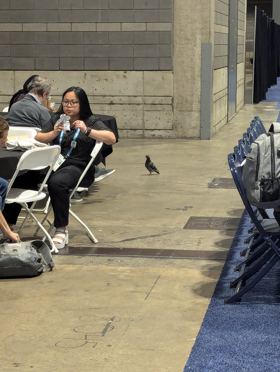 Phaedra R. Keller πΊπ¦ π΅πΈ (@norrell_r) on Twitter photo Dr. #DwightBirdles taking the time to do some networking <a href="/SfNtweets/">Society for Neuroscience (SfN)</a> <a href="/LiddelowSA/">Shane Liddelow π</a> #SfN24 Dr. #DwightBirdles taking the time to do some networking <a href="/SfNtweets/">Society for Neuroscience (SfN)</a> <a href="/LiddelowSA/">Shane Liddelow π</a> #SfN24