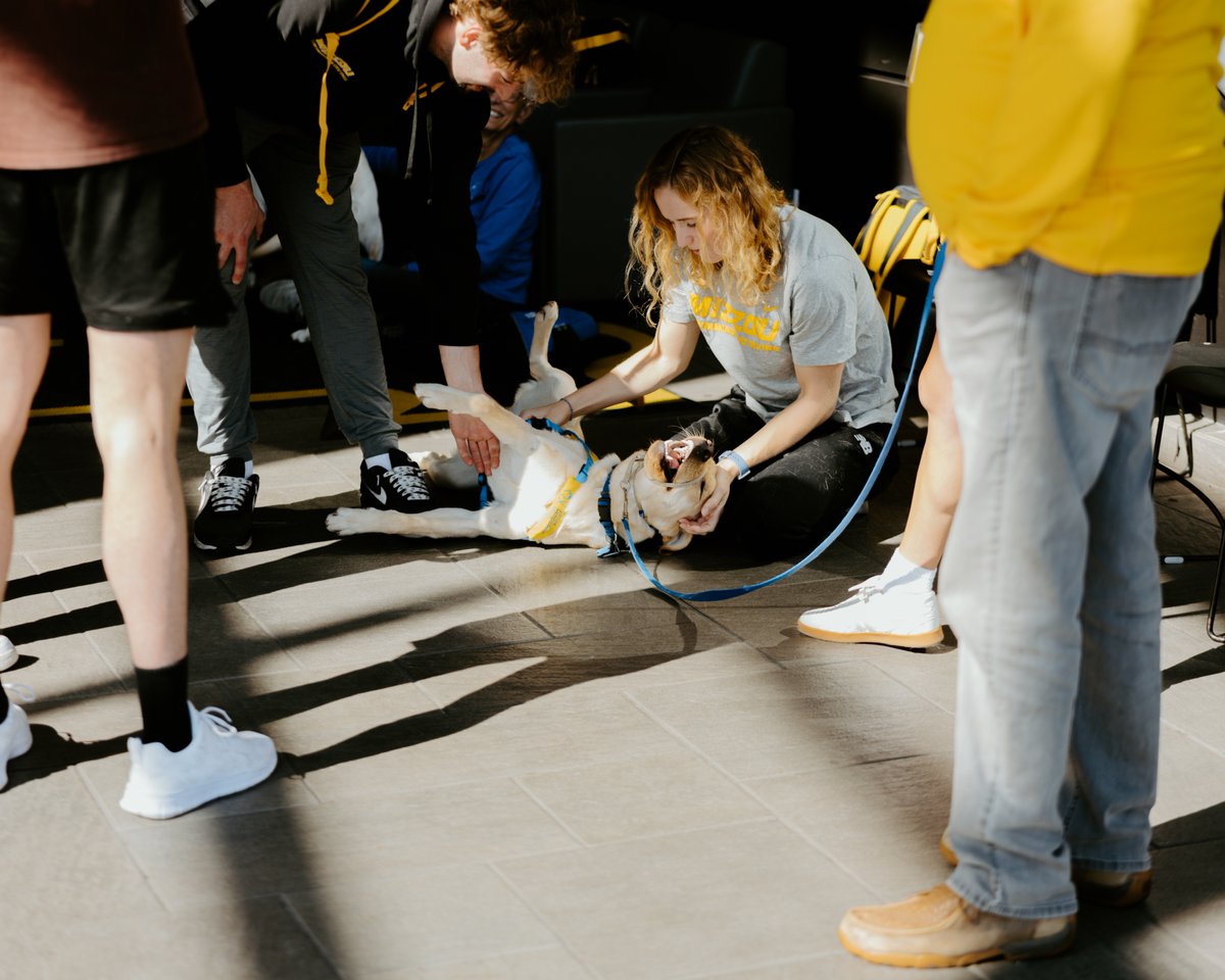 MizzouAthletics's tweet image. It was a blast getting to spend the morning with our Friends with Fur 🐶 

#MIZ 🐯 x #WinTheGame