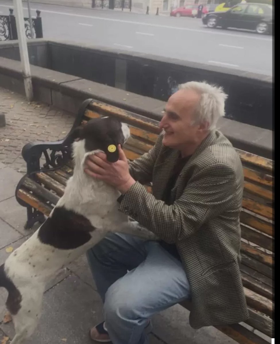 JorgeTheDog tweet media