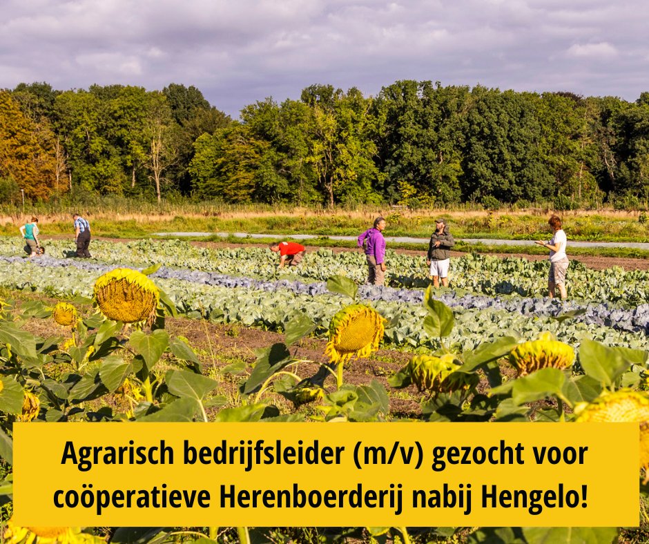 #vacature! 👩‍🌾💚 𝗕𝗼𝗲𝗿-𝗯𝗲𝗱𝗿𝗶𝗷𝗳𝘀𝗹𝗲𝗶𝗱𝗲𝗿 (m/v) gezocht in Twente nabij #Borne, in loondienst! Herenboeren Oale Esch zoekt per 2025 een full-time boer-bedrijfsleider 
➡ herenboeren.nl/boer-oale-esch…