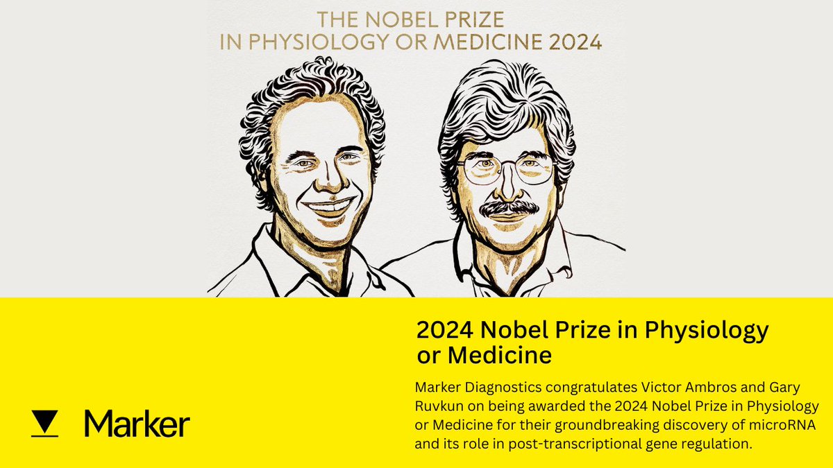 The Concussion Test tweet media