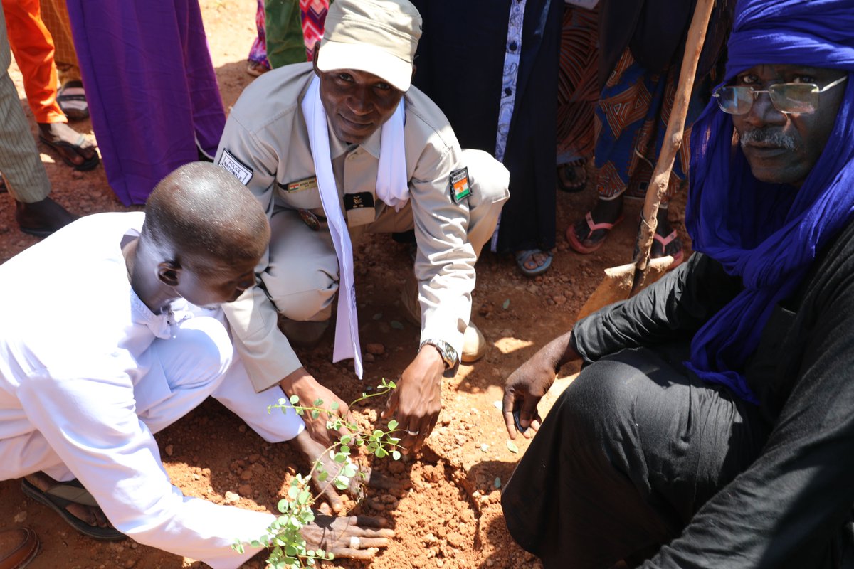 PnudNiger's tweet photo. A #Bossadje la RR du @PnudNiger @KouassiNicole  &amp; l'Administrateur Délégué de Birni ont donné le coup d'envoi de la plantation de 20000 arbres pour clôturer le site de 100 hectares du complexe agro-business qui fera de #BirniNgaouré un pôle d'excellence pour la production de maïs https://t.co/H6r0SpZpsB