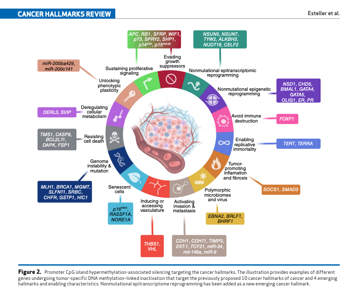 Yüksel Ürün tweet media