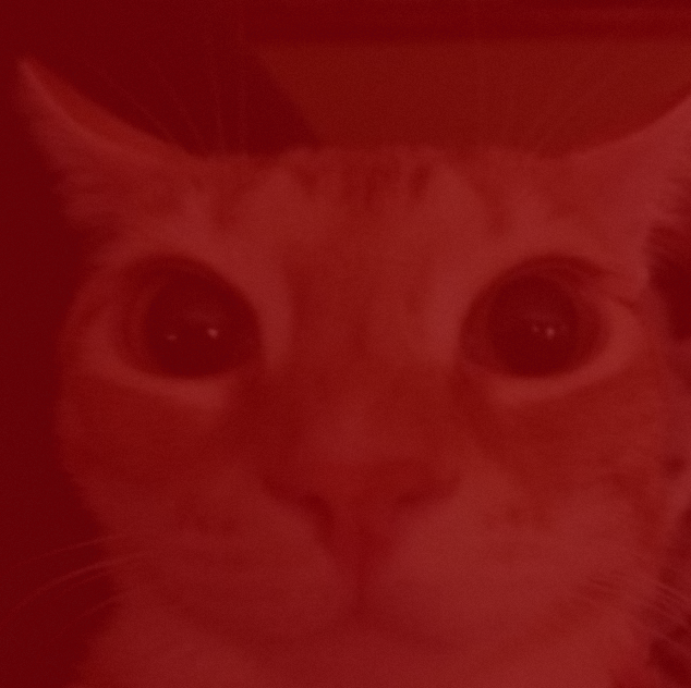 zackcat tweet media