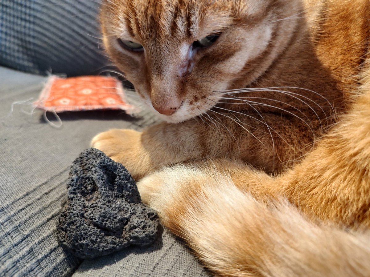 GeologistsCat's tweet image. I am very curious about you're plans for #VolcanoThursday