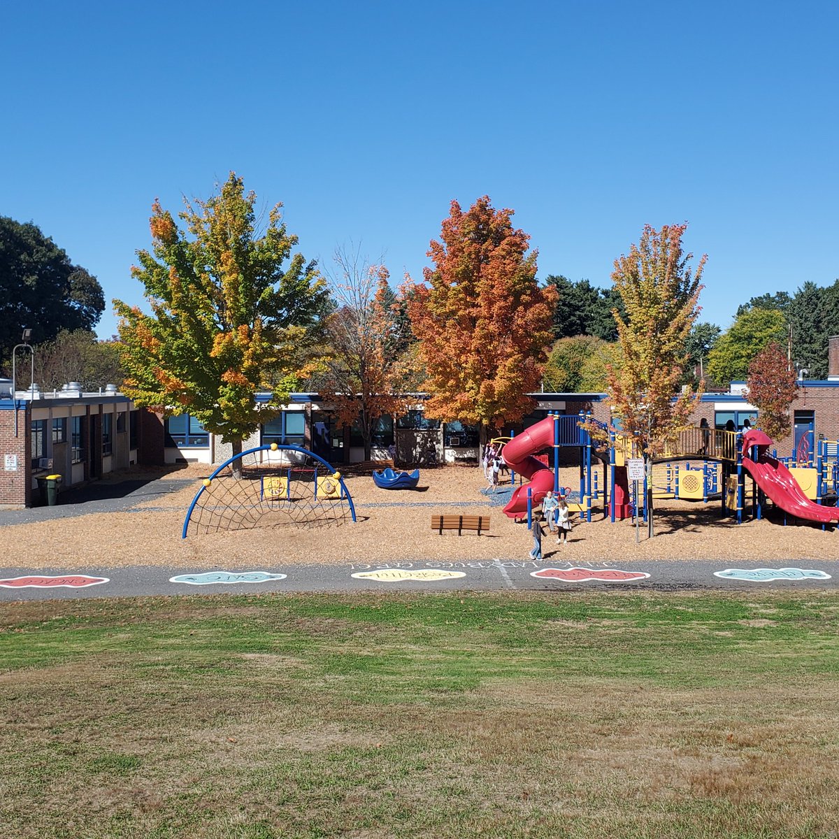 Such beautiful trees on the playground! #LadybugLife