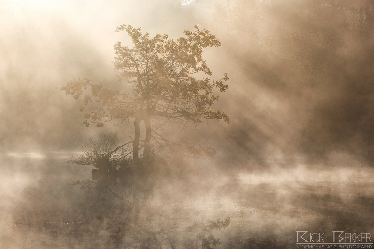 De volgende serie kiekjes van de sprookjesachtige ochtend afgelopen weekend.
