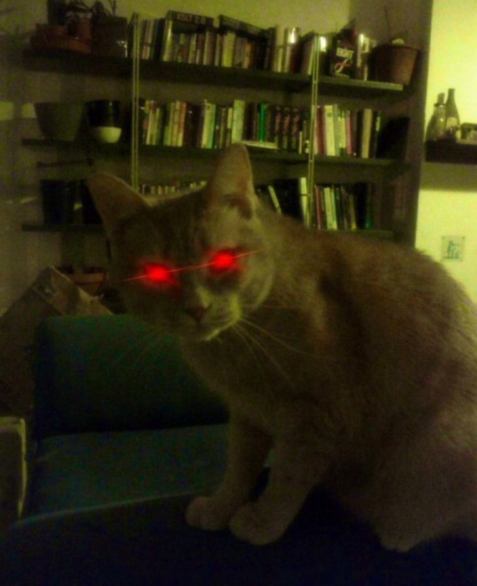 xbtDLN's tweet image. This is the only Sasha. The other is bundled with no volume. This is the one that will send when its Len. Better distribution.

6WNva7iLjTvxSfXPSmbjceW5Yc41LUH4SJNqKom5pump

@publixplays @frankdegods @LexaproTrader