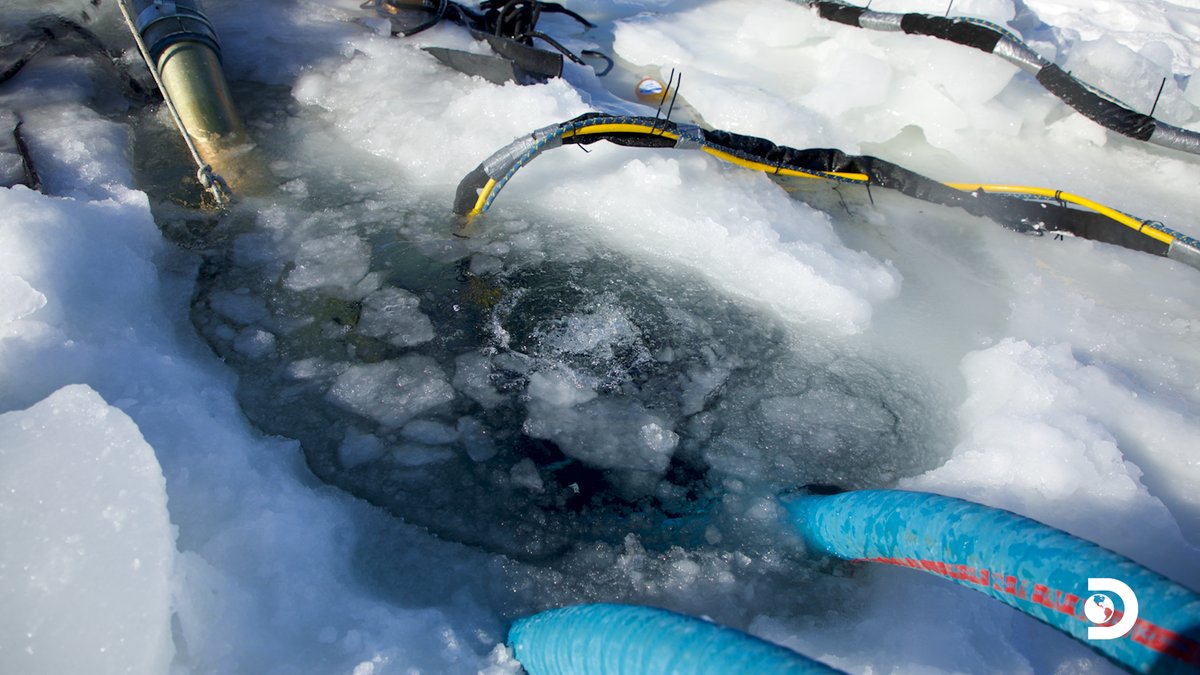 Coming up for air 🤿
🗓 #BeringSeaGold starts in NOW on <a href="/Discovery/">Discovery</a>