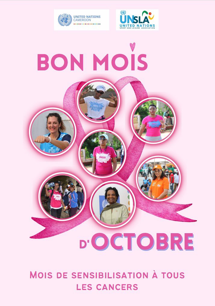 UN_Cameroon tweet media
