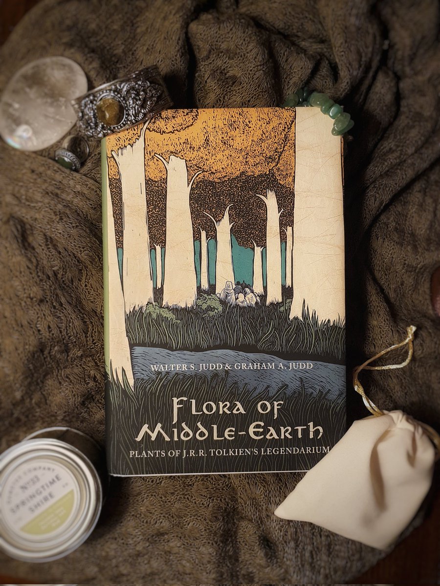 Rhovanel🌿 tweet media