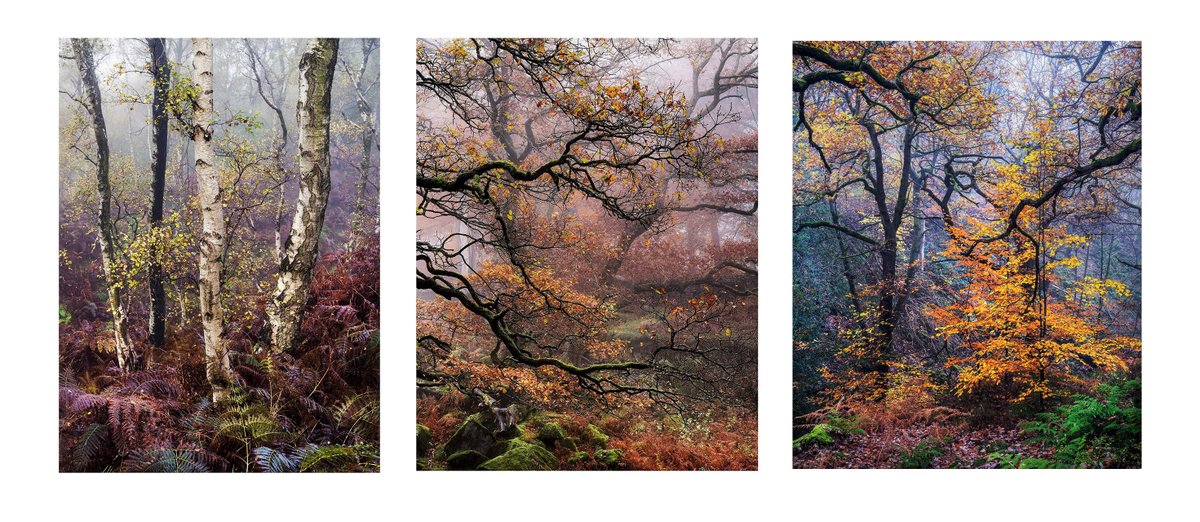 Matt Oliver tweet media