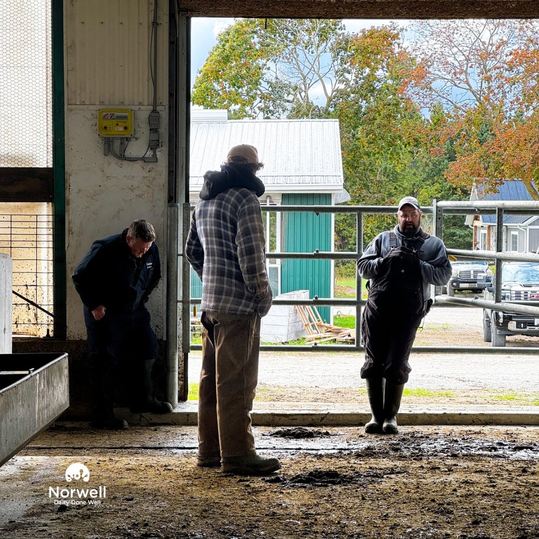 Congratulations to the Moore Family at Sharleigh Farms!  They had their last milking in the double 8 parlour this morning and are well into a start-up with 2 DeLaval V310's!  The cows are adjusting to the new system and the family is relaxed as they help the cows move through the