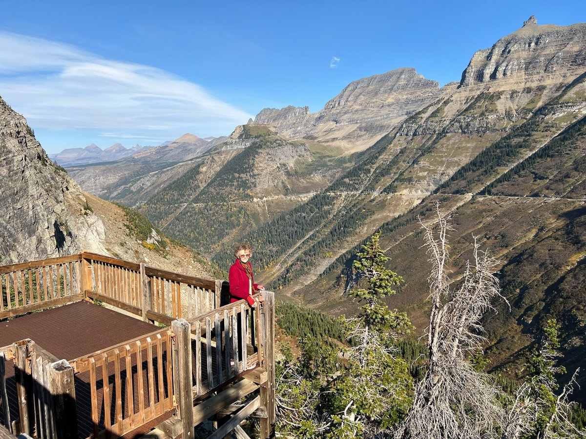 Greg Mendell 🙂🖖✨🔭📖 tweet media