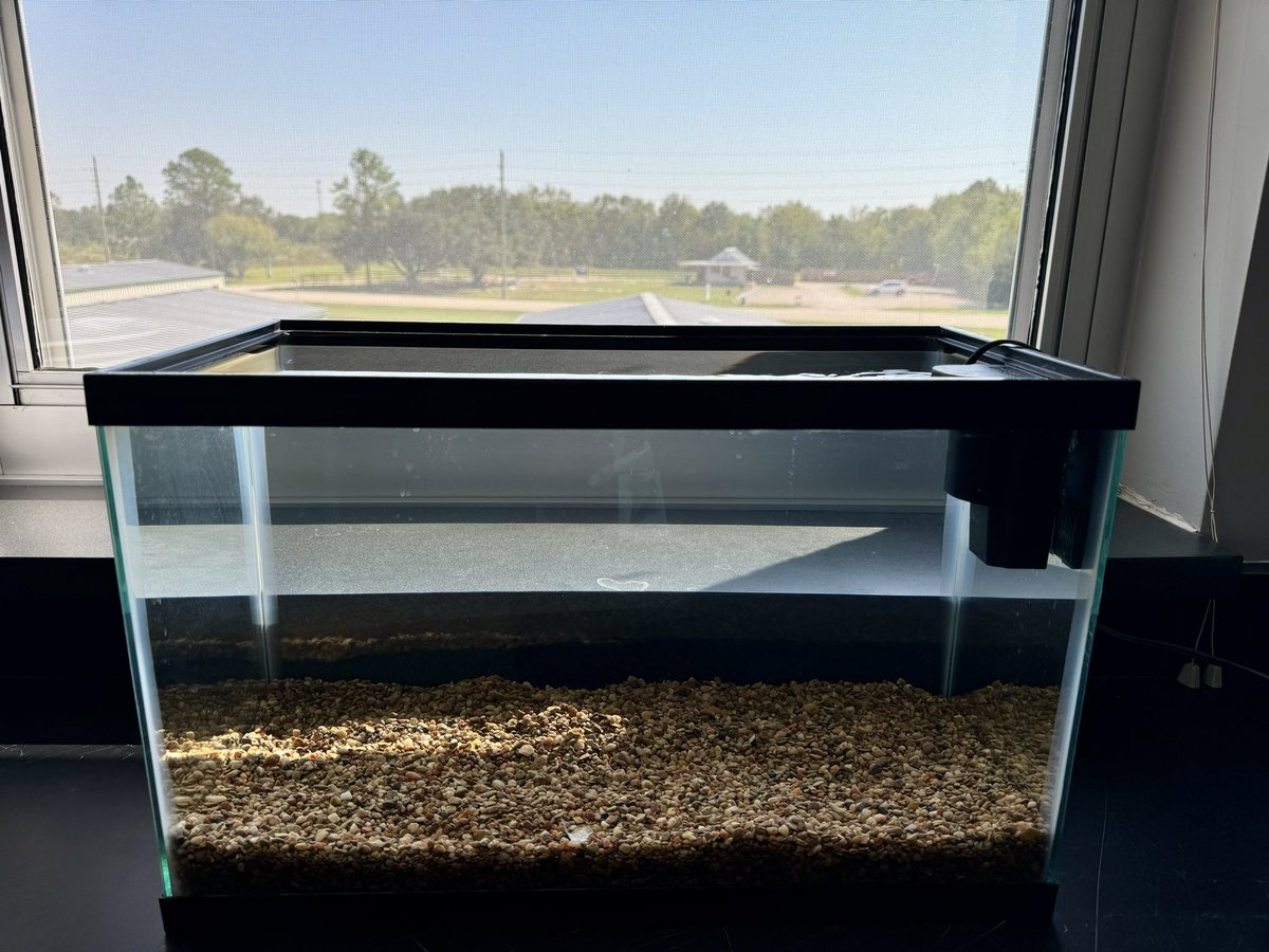 We’ll have fish and plants after fall break! 🤓🍃🍂🌱🐟