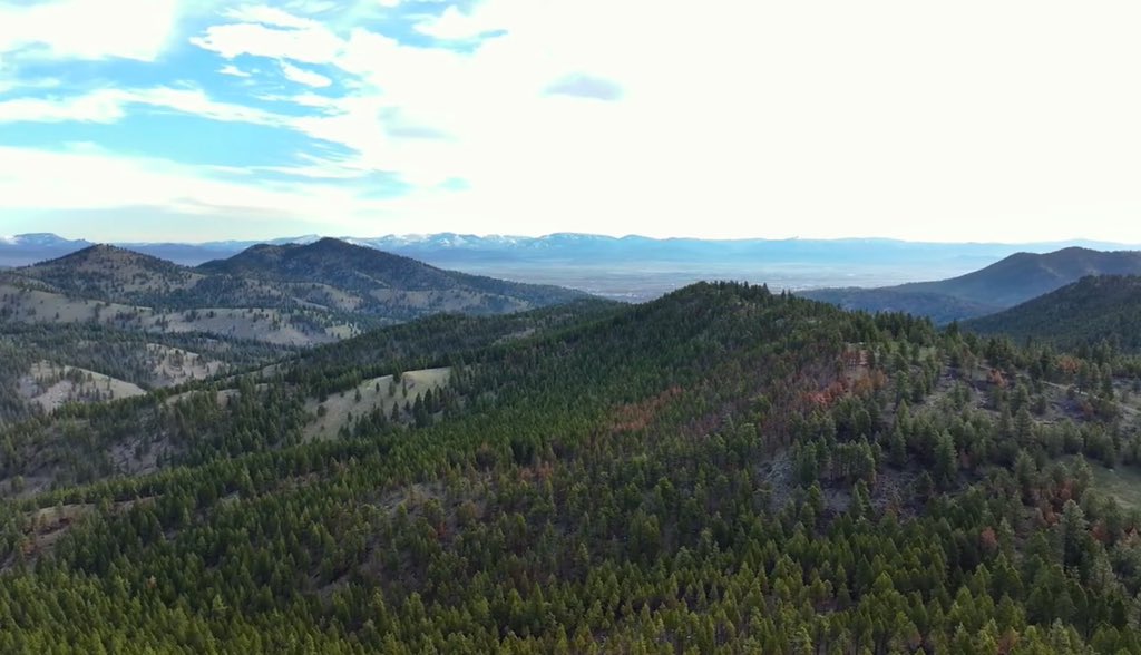 We are so lucky in Helena thanks to Prickly Pear Land Trust. Check this vid out: youtu.be/e2CcmRW8VWU?si…