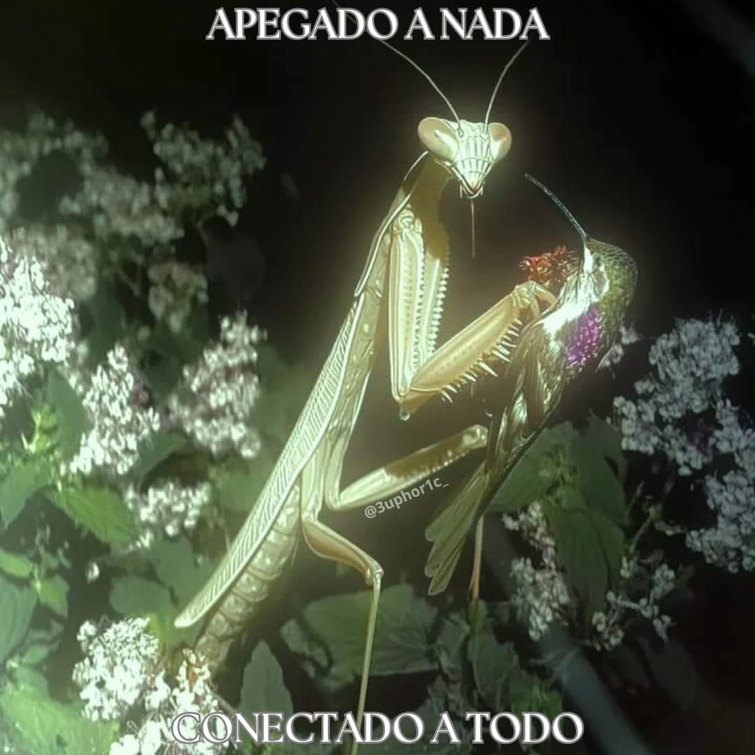 Nasty Poet (@nxstypxet) on Twitter photo 