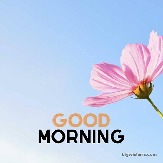 GOOD MORNING🌄🌸
"The journey of a thousand miles begins with a single step of courage."
#Yrkkh #Yrkkh4 #BB26 #Bbnaija #Bbnaijas9 #NUMBER_I