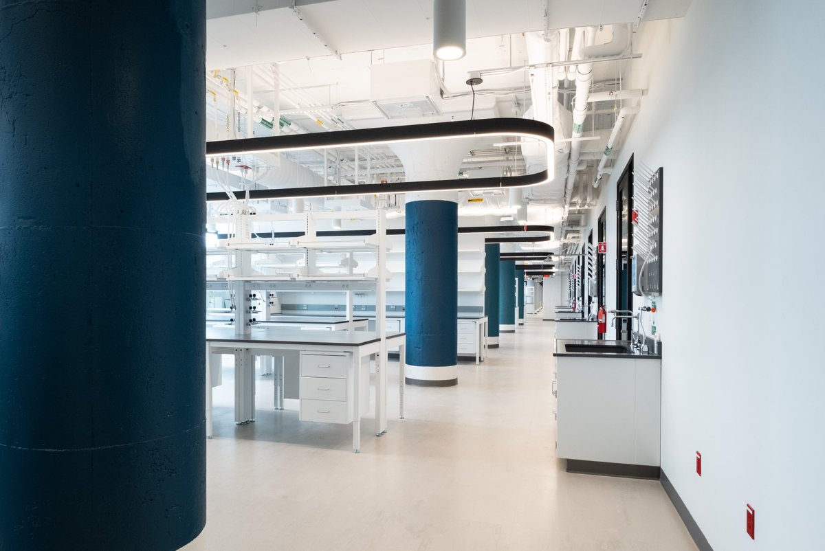 Open ceilings are a hot trend in office &amp; lab design. Beyond practical applications for easy maintenance access, seeing well-designed MEP systems creates a bold modern industrial aesthetic. Read about <a href="/SienaConst/">Siena Construction</a>'s collaborative approach to open ceilings: sienaconstruction.com/building-case-…