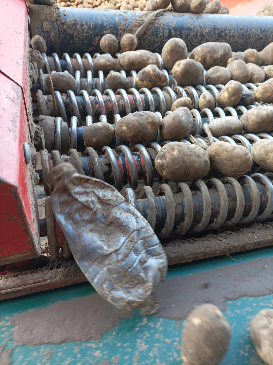 Onderstaande werd ons toegestuurd :

Ik merk op hoe hard je de strijd aangaat tegen zwerfvuil. Tijdens het rooien en inschuren van de aardappelen dragen wij als landbouwers ons steentje dezer dagen bij. In vijf dagen al twee volle zakken blikjes en plastic vergaard 🙏🍀💪