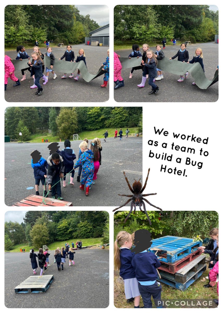 ChatelheraultPS's tweet image. P2 have been working towards achieving their #RSPBWildChallenge by investigating the different trees in our school forest. 
They have begun creating a Bug Hotel for insects to use during the cold winter months.
