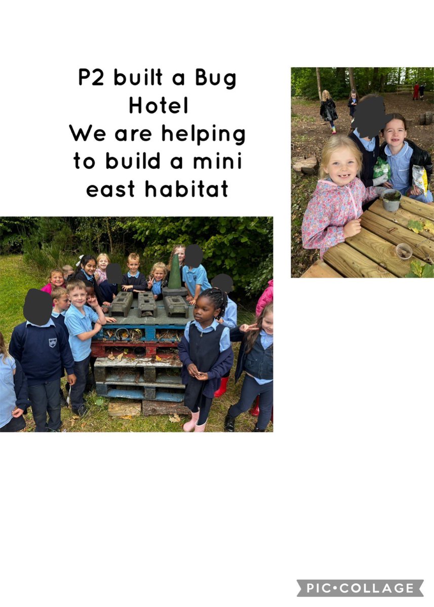 ChatelheraultPS's tweet image. P2 have been working towards achieving their #RSPBWildChallenge by investigating the different trees in our school forest. 
They have begun creating a Bug Hotel for insects to use during the cold winter months.