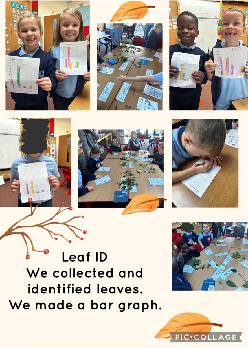 ChatelheraultPS's tweet image. P2 have been working towards achieving their #RSPBWildChallenge by investigating the different trees in our school forest. 
They have begun creating a Bug Hotel for insects to use during the cold winter months.
