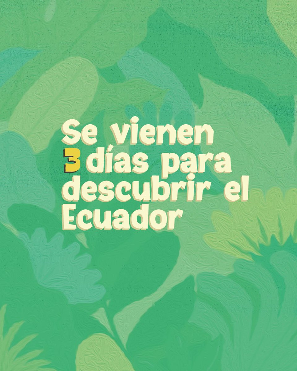 Viaja Ecuador tweet media