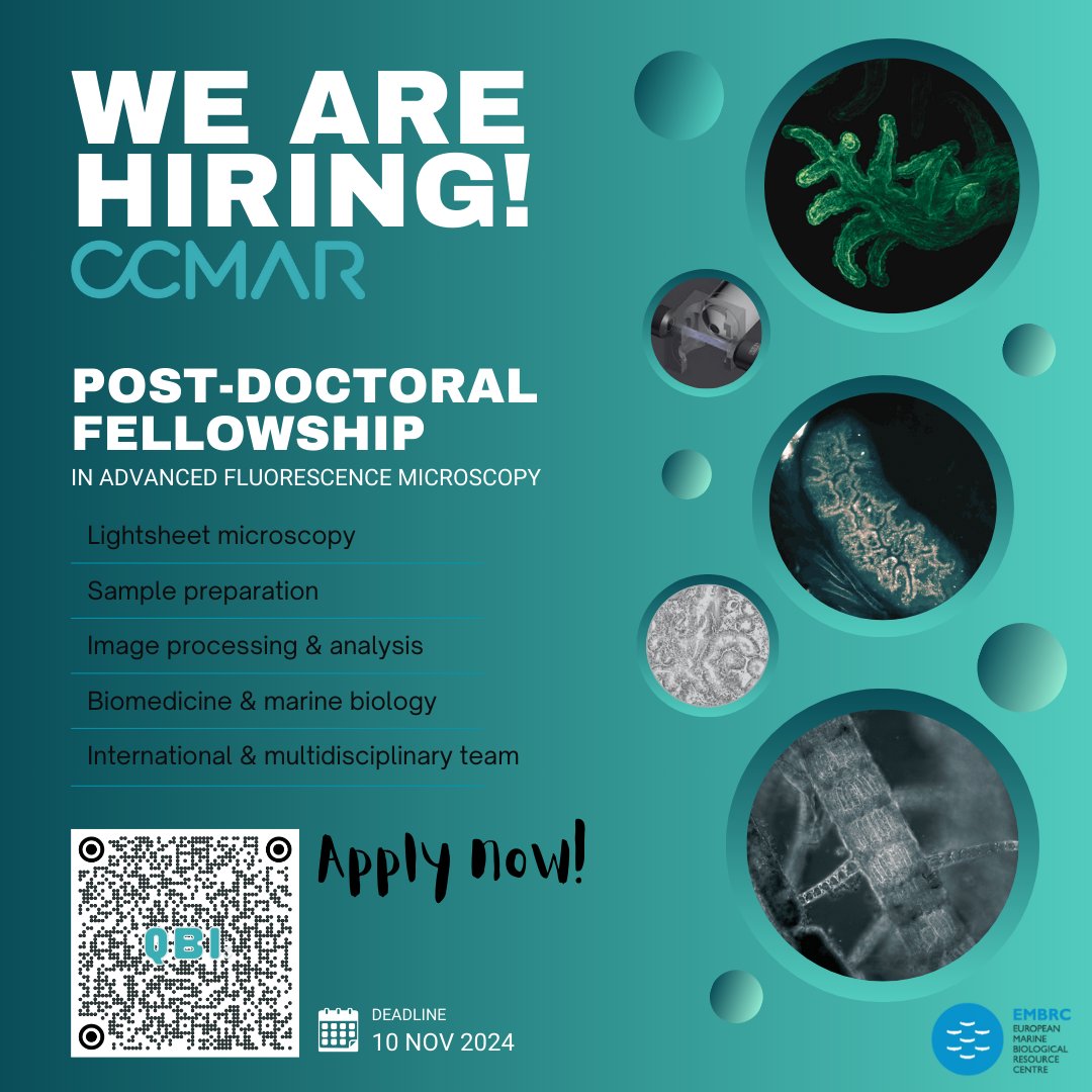 TeresaM2Correia's tweet image. 🔬👩🏻‍🔬 𝗝𝗼𝗶𝗻 𝗼𝘂𝗿 𝘁𝗲𝗮𝗺! 
👀 We are looking for a post-doc in Advanced Fluorescence Microscopy to join the Quantitative Bio-Imaging Lab @CienciasDoMar! 

📄 Apply here: ccmar.ualg.pt/en/job/ccmarbp…

#PostDoc #Biology #Bioimaging #Microscopy #MarineBiology #ImageAnalysis