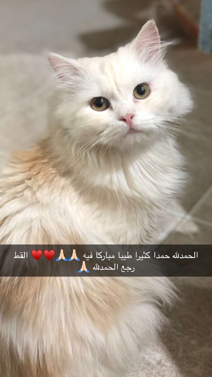 شكرا لكل الي ساعدونا و دعولنا🙏🏻♥️