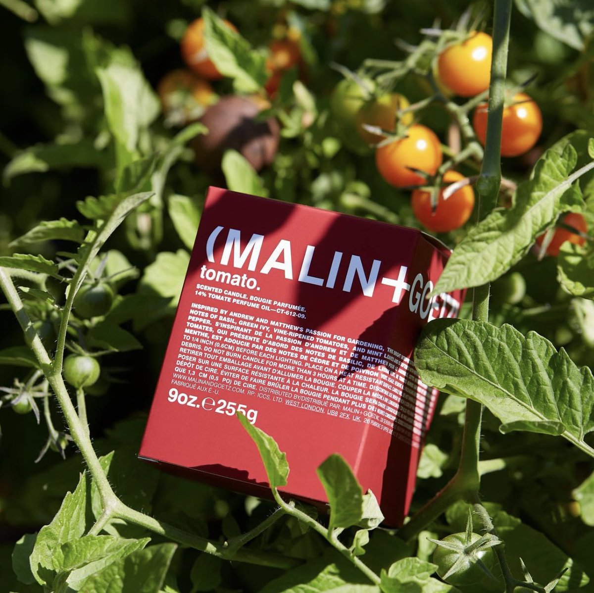 Laconicum tweet media