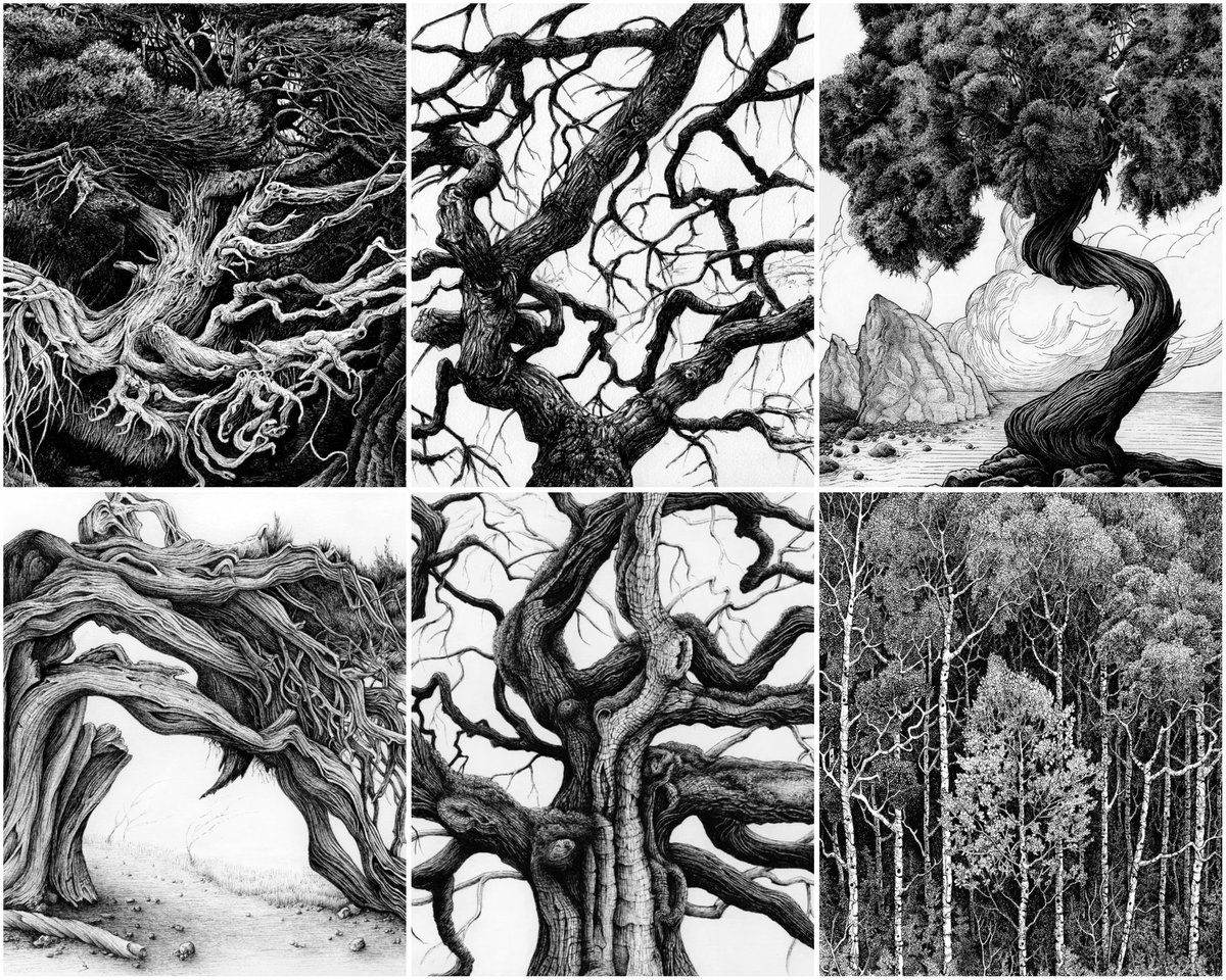KarlTrewhelaArt's tweet photo. The Ethereal Beauty of Trees
collection on fnd https://t.co/etCYSLwIp3