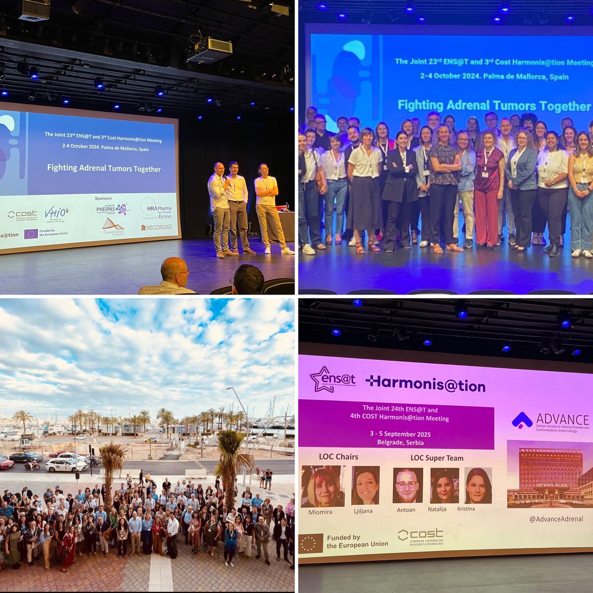 HARMONIS@TION (@goharmonisation) on Twitter photo Another amazing joint #ENSAT and #Harmonisation meeting is behind us. Huge congrats to Rodrigo for the stellar organization! 🙌 Excited to announce next year’s meeting in Belgrade! 🇷🇸
Mark your calendars! <a href="/ENSAT_news/">European Network for the Study of Adrenal Tumours</a> <a href="/RToledoLab/">ToledoLab_VHIO</a> <a href="/DarkoKastelan/">Darko Kastelan</a> <a href="/GuillaumeAssie/">guillaume assie</a> <a href="/LjiljanaMarina/">Ljiljana Marina</a> Another amazing joint #ENSAT and #Harmonisation meeting is behind us. Huge congrats to Rodrigo for the stellar organization! 🙌 Excited to announce next year’s meeting in Belgrade! 🇷🇸
Mark your calendars! <a href="/ENSAT_news/">European Network for the Study of Adrenal Tumours</a> <a href="/RToledoLab/">ToledoLab_VHIO</a> <a href="/DarkoKastelan/">Darko Kastelan</a> <a href="/GuillaumeAssie/">guillaume assie</a> <a href="/LjiljanaMarina/">Ljiljana Marina</a>