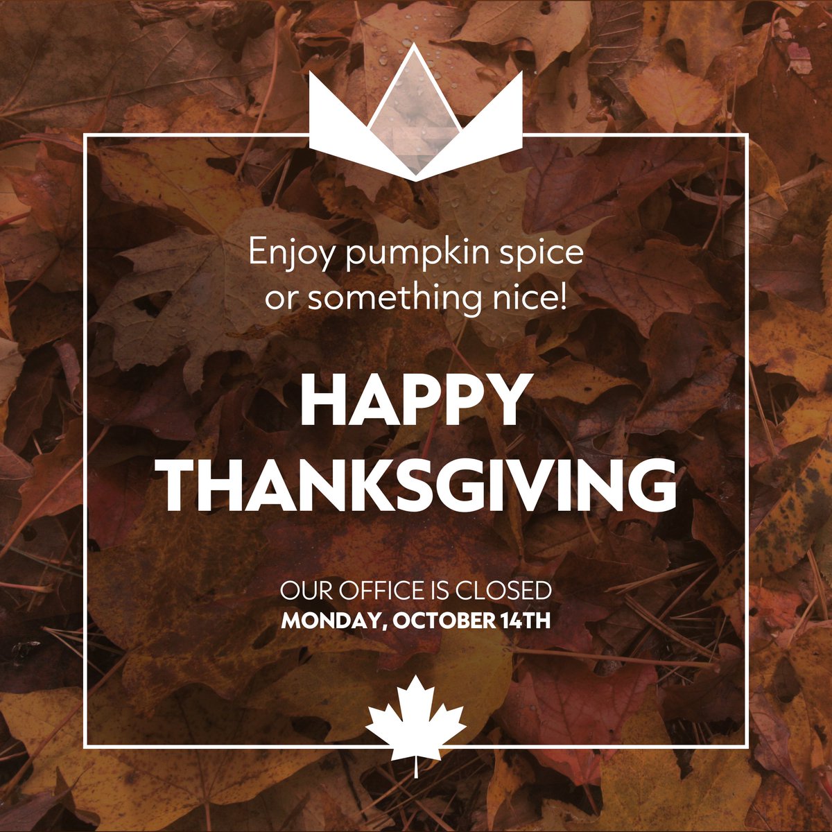 King Business Solutions tweet media