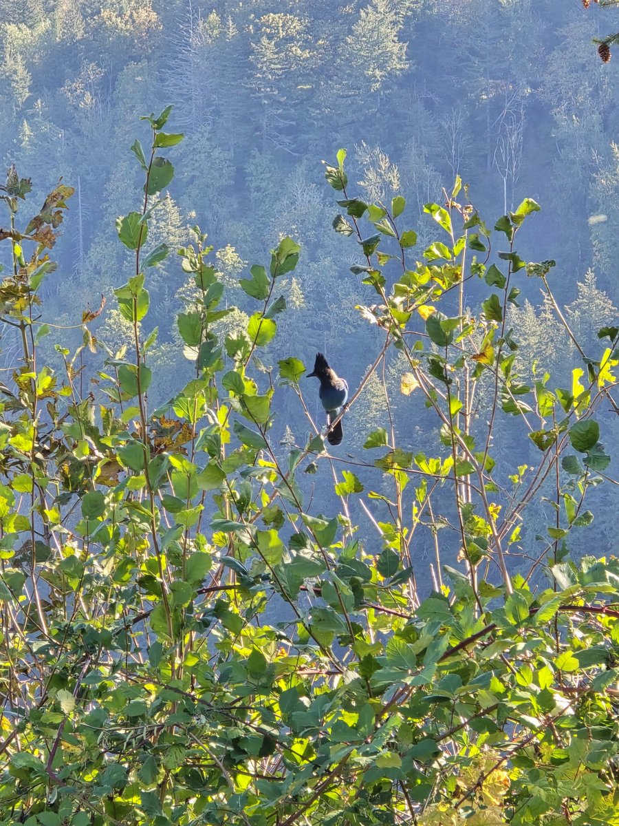 Columbia river, Oregon.