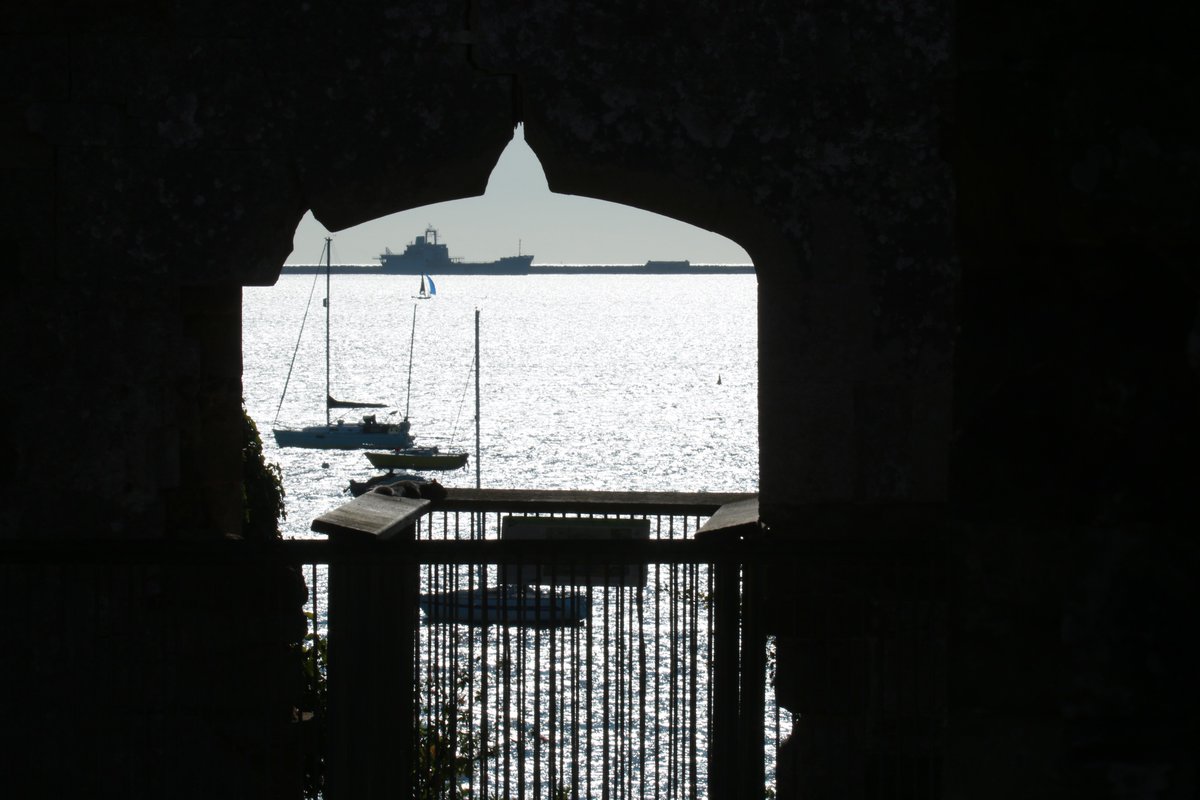 Sandsfoot Castle sunbathing Squirrel with a sea view.