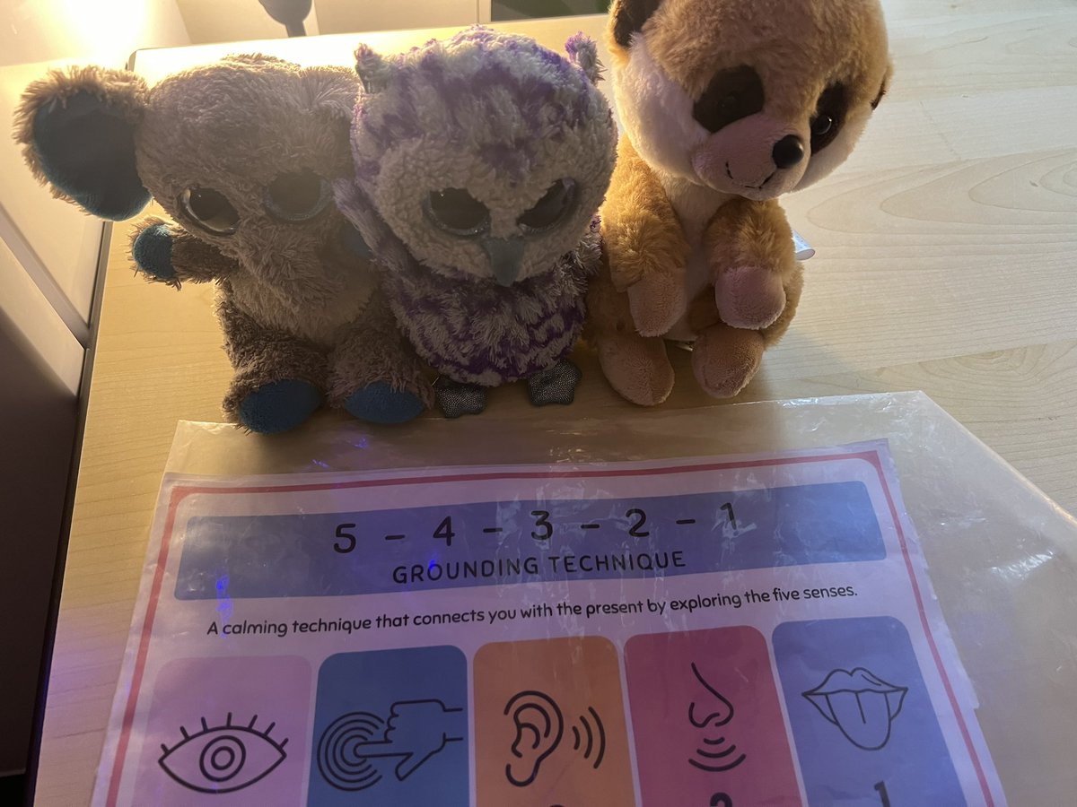 Pauline~Emotional Wellbeing Educator&Consultant tweet media