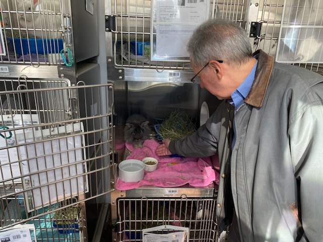 nycemergencymgt's tweet photo. NYCEM's Human Services had a very adorable afternoon with @NYCACC! NYCEM coordinates with @NYCACC during emergencies to address the needs of impacted pets. 🦜🐈‍⬛🦎🦮

@NYCACC has three locations in NYC and is working on building a fourth. We learned more about their response operations and all about bunny speed dating 🐇 (own a bunny? they might need a friend!).

Thanks for having us, @NYCACC!
