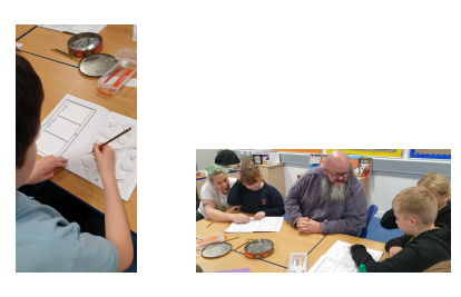 Gorebridge Primary tweet media