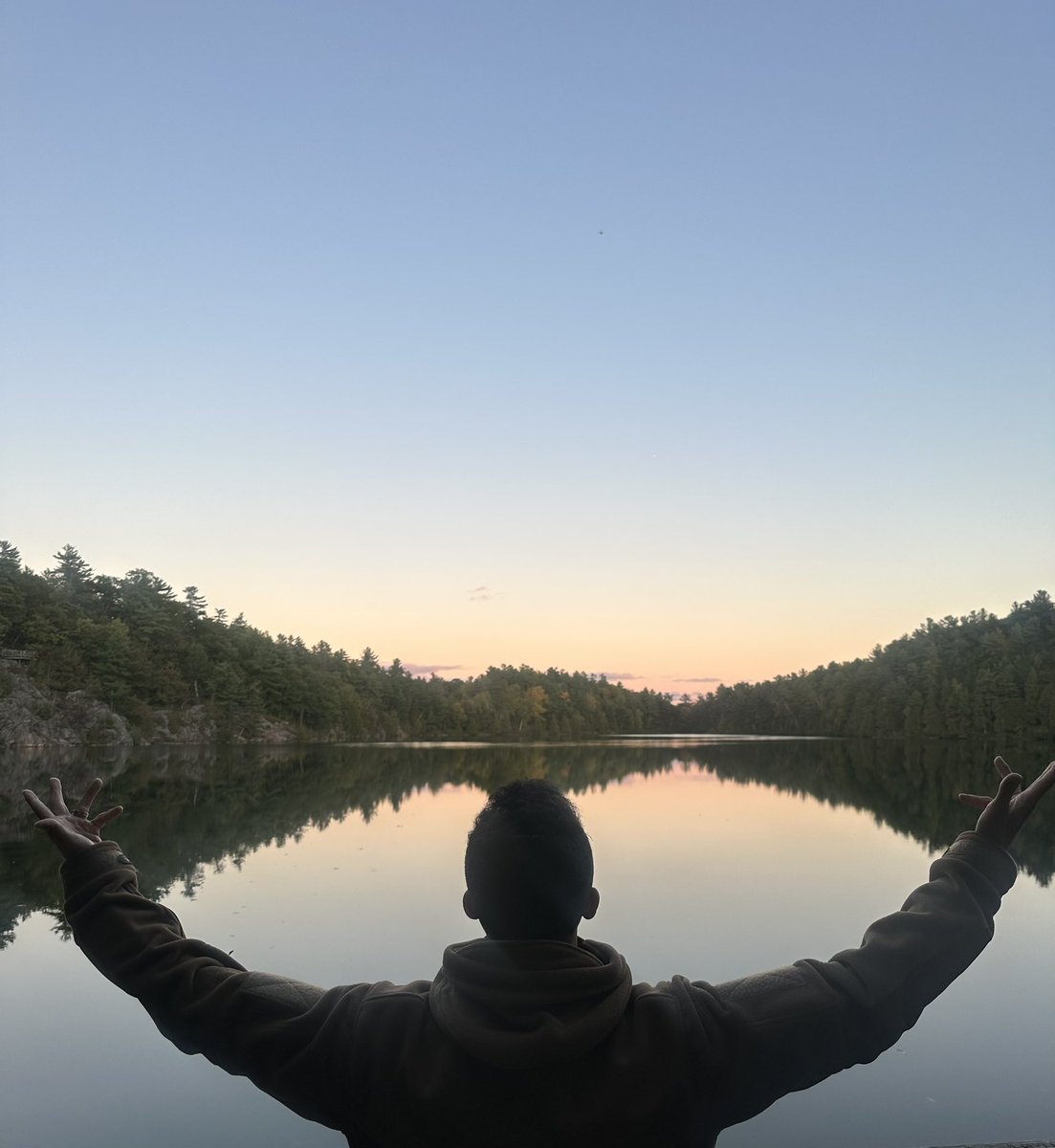 And into the forest I go, to lose my mind and find my soul.