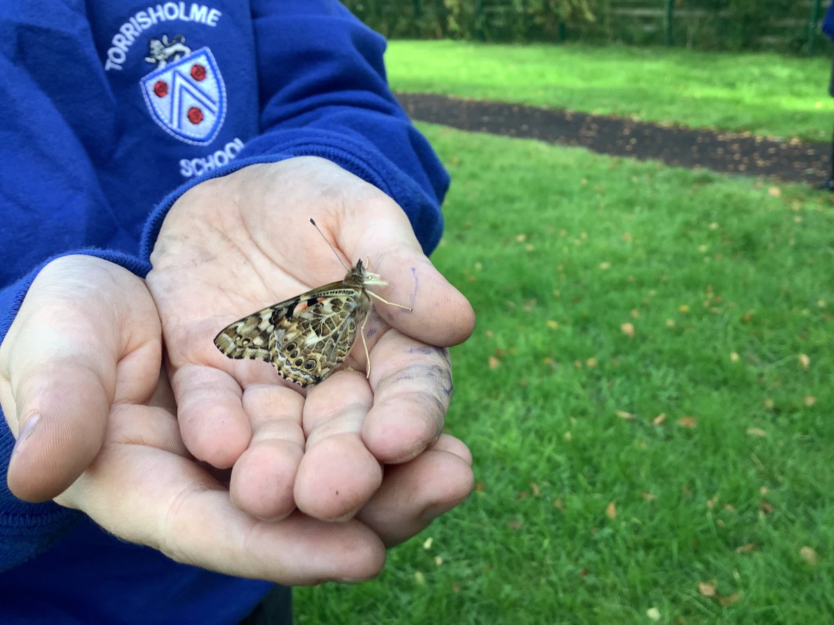 Year 5 Torrisholme tweet media