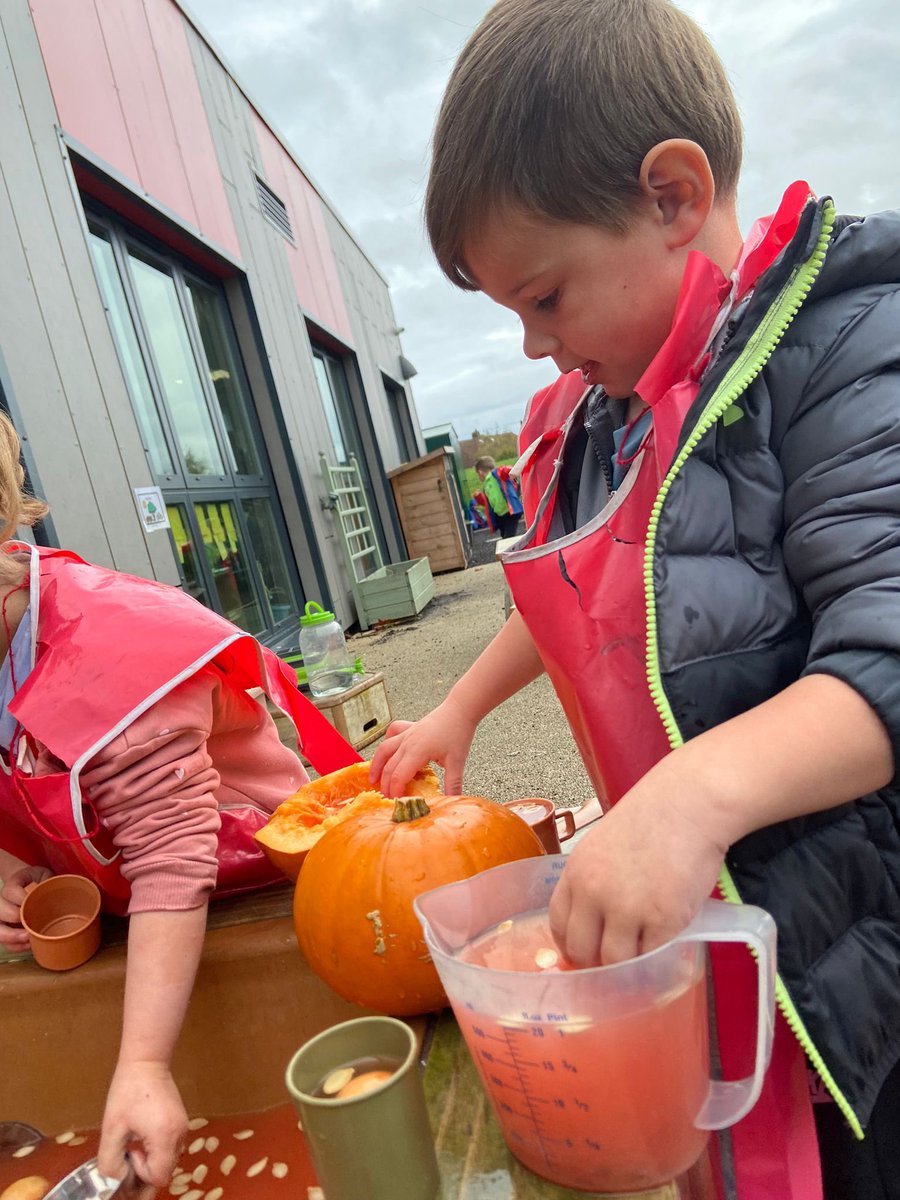 Forehill Nursery tweet media